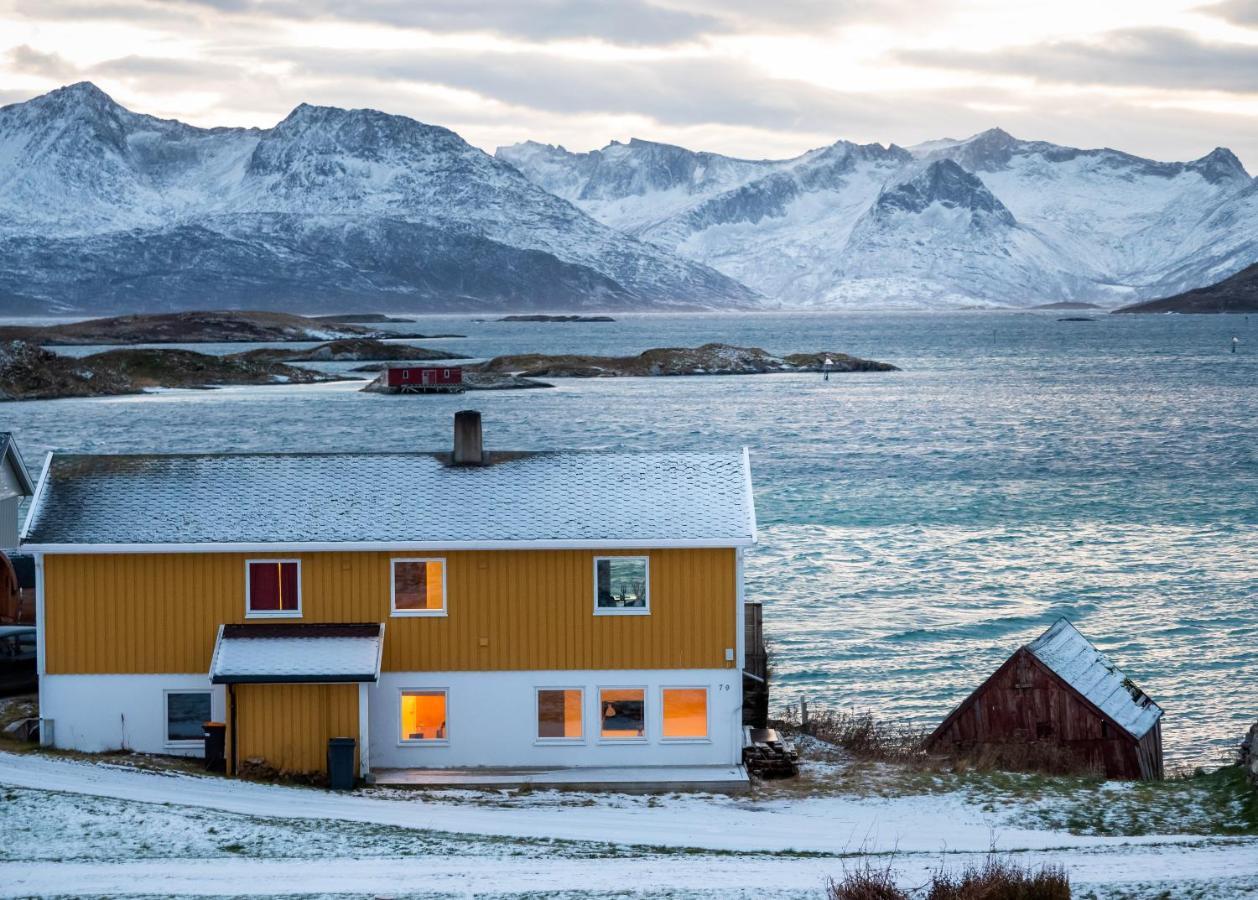Sommaroya Beach Apartment Tromsø Exterior foto